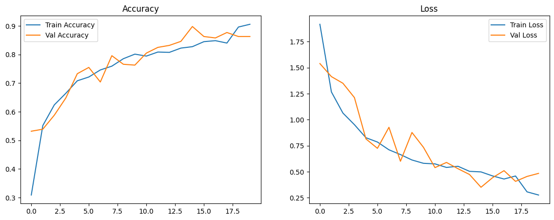 Training vs Validation Accuracy and Loss